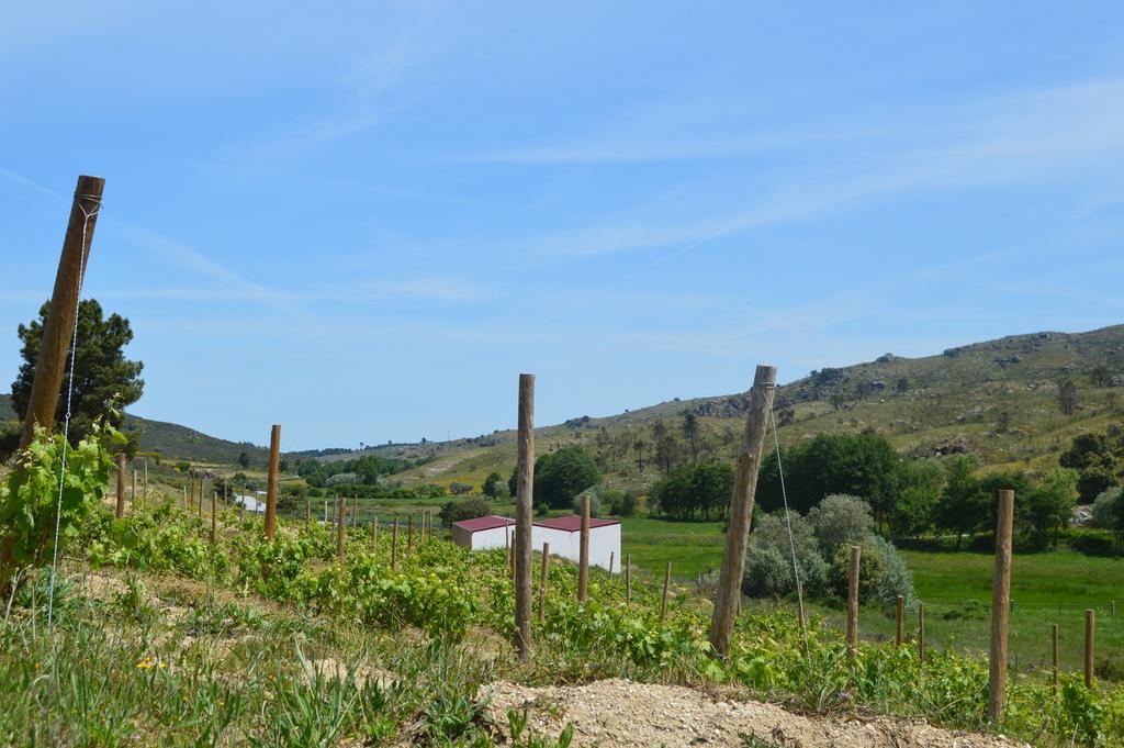 Quinta Vale Da Prata Villa Celorico Da Beira Luaran gambar