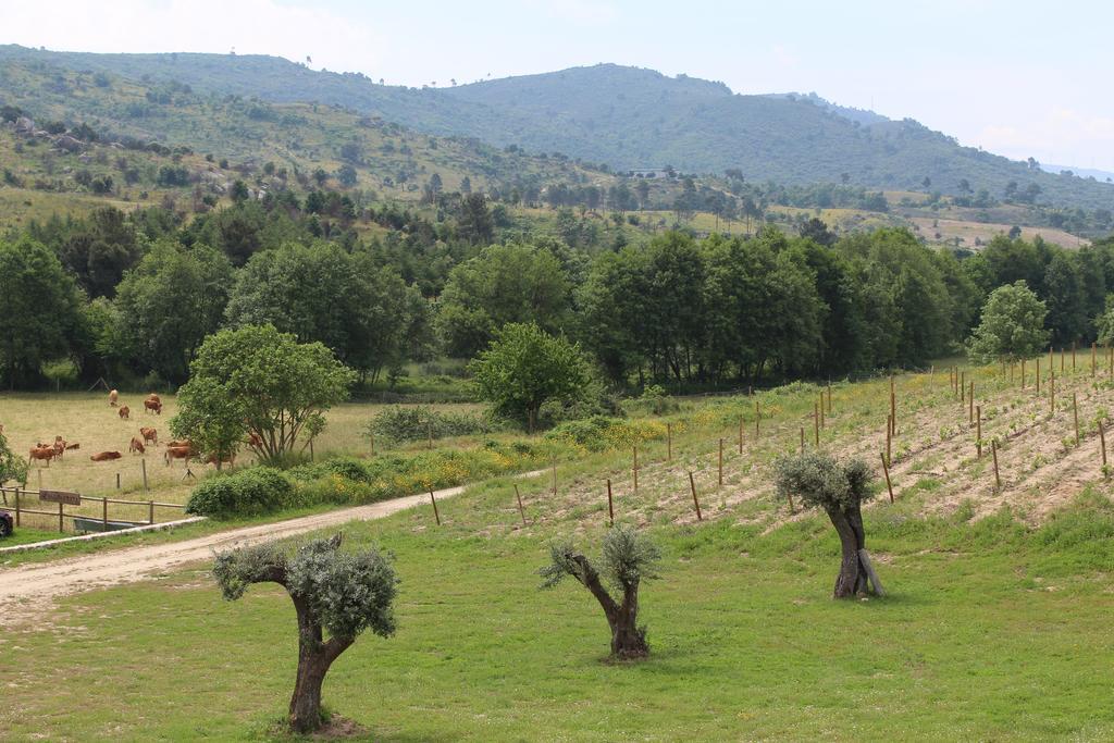 Quinta Vale Da Prata Villa Celorico Da Beira Luaran gambar