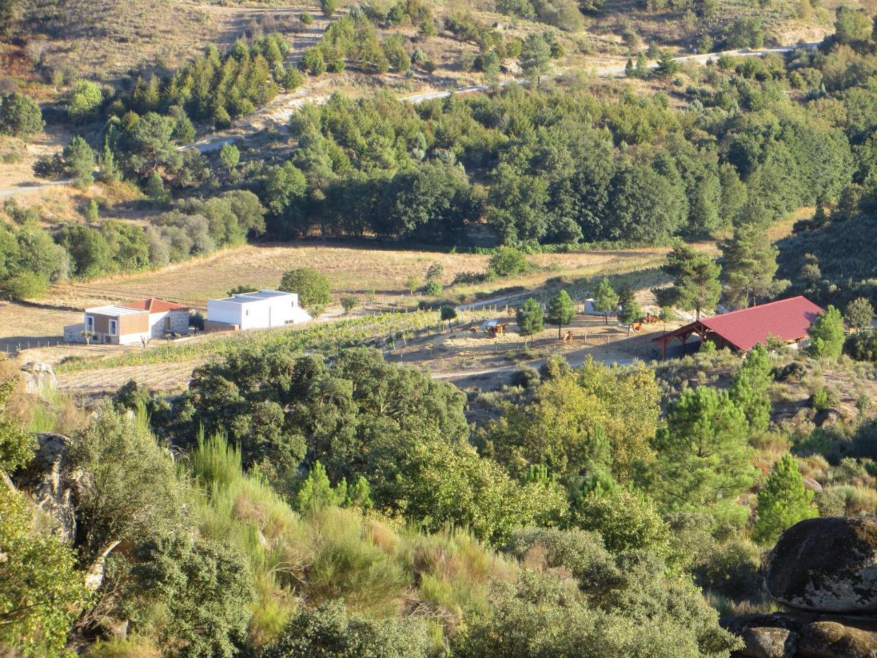 Quinta Vale Da Prata Villa Celorico Da Beira Luaran gambar